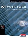 ICT Systems Support Level 2 (Heinemann IT Professionals Series)