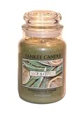 Yankee Candle 22 oz. Sage and Citrus Jar Candle