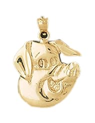 Dazzlers Solid 14k Gold Pig Head Charm Pendant Available in three colors from jewelsberry (weights: 2.9 grams only)