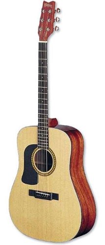 MusicalInstruments: Washburn D10SLH with Hardshell Case