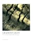 Gradient Light: The Art and Craft of Using Variable-Contrast Paper