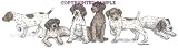 German Shorthair - Puppies in a Row by Cindy Farmer