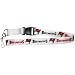 Tampa Bay Buccaneers NFL Break-Away Key Lanyard (36) by Pro Specialties Group