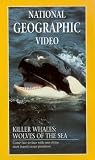 National Geographic Video - Killer Whales - Wolves Of The Sea