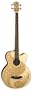 Luna Henna Paradise Acoustic/Electric Bass