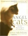 Angel Cats: Divine Messengers of Comfort
