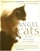 Angel Cats: Divine Messengers of Comfort
