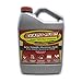 Evapo-Rust, The Original Super Safe Rust Remover, Water-based, Non-Toxic, Biodegradable, 32 oz