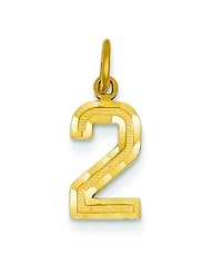 14K Gold Small Number 2 Charm Pendant FindingKing