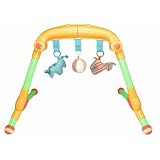 Tolo Toys Musical Activity Gym-Past by Tolo