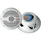 Boss Audio 6.5" 2-Way Marine Speaker