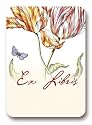 Pair of Variegated Tulips - Set of 20 Adhesive Bookplates