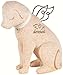 Bereavement Faithful Angel Memory Memorial Dog Pet Figurine Statue by Carson Home