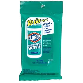 Clorox Disinfecting Wipes "to go" Pouch, Fresh Scent, Case Pack, Twenty-Four - 9 Count Packs (216 Wipes)