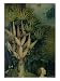 The Tree of the Knowledge of Good and Evil, Fr. the Right Panel of the Garden of Earthly Delights Art Giclee Poster Print by Hieronymus Bosch, 24x32