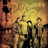 Pinmonkey - Pinmonkey