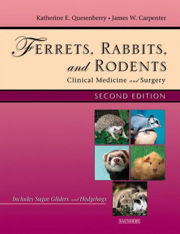 Ferrets