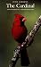 The Cardinal (Corrie Herring Hooks Series) by June Osborne