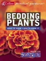 Bedding Plants (Collins Practical Gardener)