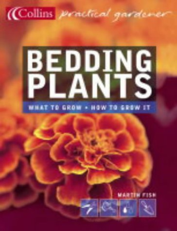 Bedding Plants (Collins Practical Gardener)