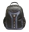PEGASUS from SwissGear by Wenger Computer Backpack