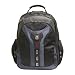 PEGASUS from SwissGear by Wenger Computer Backpack
