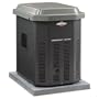 Briggs & Stratton 40301 7,000 Watt EmPower Natural Gas/Liquid Propane Powered Air Cooled Home Standby Generator (CARB Compliant)