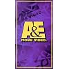 Dinosaur! - The First Clue: Tale of a Tooth [VHS]