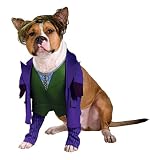 Pets' Joker Costume