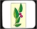 Decorated Mouse Pad with leaf, 