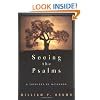 Seeing the Psalms: A Theology of Metaphor