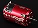 TrackStar Turnigy 13.5T Sensored Brushless Motor 3040KV (Roar Approved)