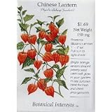 Chinese Lantern Heirloom Seeds 75 Seeds