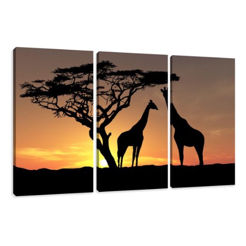 Imagen 7 de Visario 1034