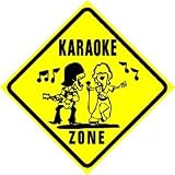 KARAOKE ZONE sing stage fun talent NEW sign