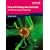 Edexcel AS Biology Revision Guide (Edexcel A Level Sciences)