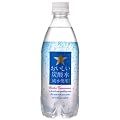 サッポロ おいしい炭酸水 500ml×24本