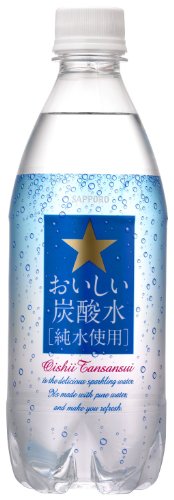 サッポロ おいしい炭酸水 500ml×24本