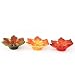 Zest Candle Maple Flower Floating Candles Set of 144