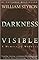 Darkness Visible