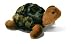 Steiff 68270 - Ulla Schildkröte grün 25 cm