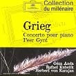 Grieg : Concerto pour piano - Peer Gynt