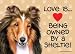 Shetland Sheepdog/Sheltie (Love is being owned by) Door Sign 5''x10''