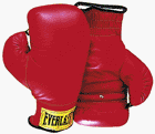 Everlast 14 oz. Leather Boxing Gloves - 1 Pair