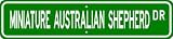 Miniature Australian Shepherd STREET SIGN ~ High Quality Aluminum ~ Dog Lover