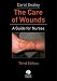 Book The Care of Wounds: A Guide for Nurses