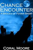 Chance Encounter (Broods of Fenrir)