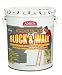 Ames BWRF5 Block & Wall Liquid Rubber Paint 5 Gallon