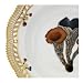 flora danica fungi oval dish by royal copenhagen parasol 18.5