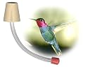 Hummingbird Feeder Tubes For Making Your Own Feeders (Pkg of 12)